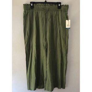 SOLD Light Forrest Green Palazoo Capri Pants NWT